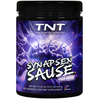 Synapsensause